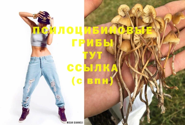герыч Арсеньев