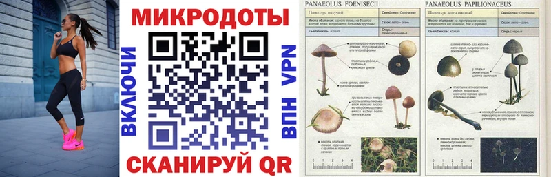 Псилоцибиновые грибы MAGIC MUSHROOMS  Бикин 